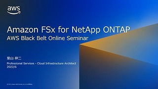 blackbelt-netapp-ontap